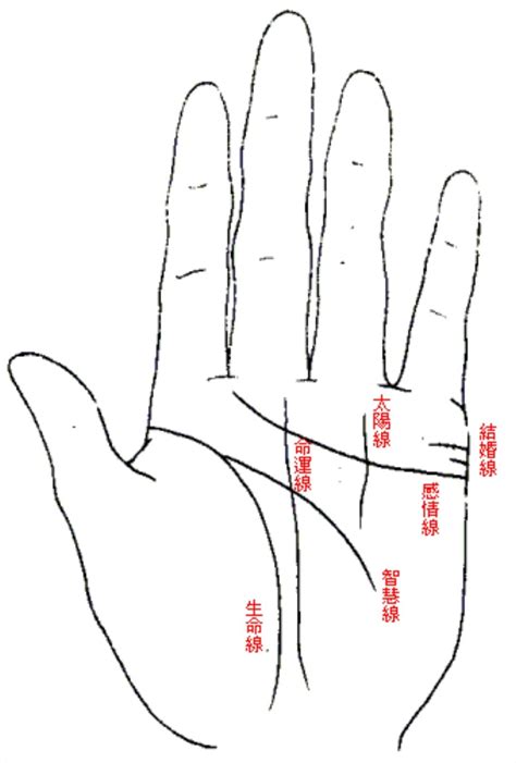 一字掌紋|一字掌紋：潛在富貴的象徵